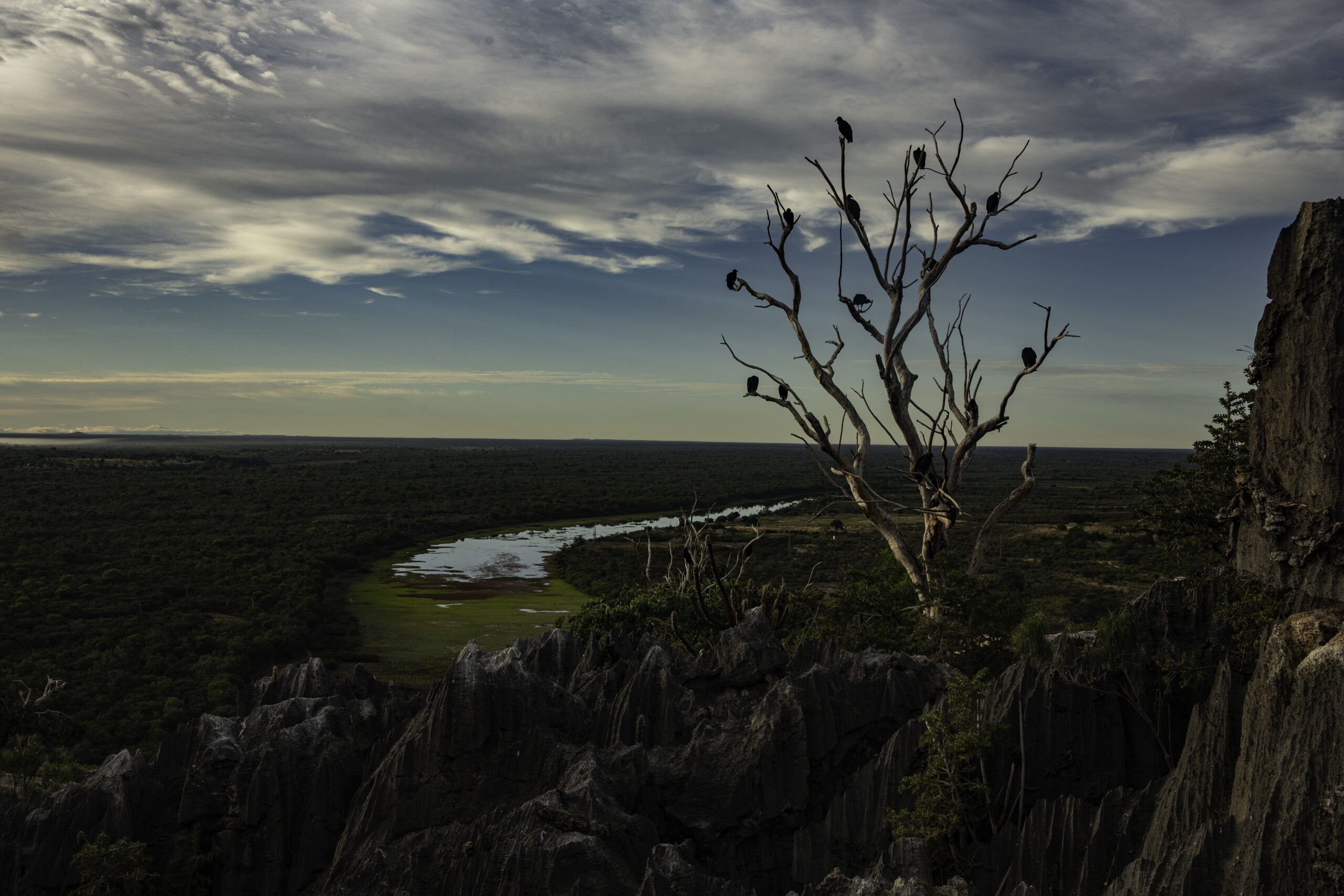 Imagem do livro "Obrigado, Bahia". Foto de Bruno Stuckert.