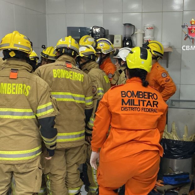 whatsapp image 2024 11 08 at 00.15.44