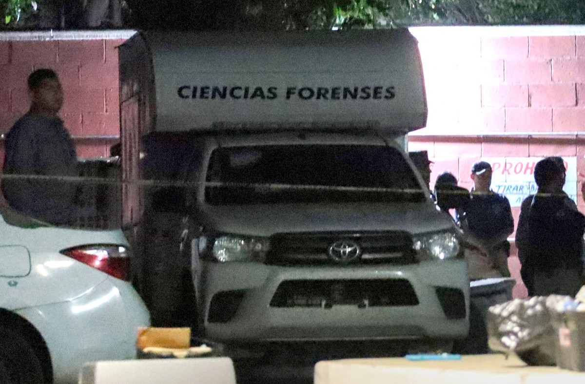 mexico violence crime