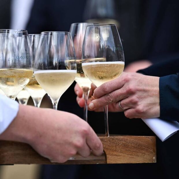 1731013177672d2a3931b72 1731013177 3x2 lg