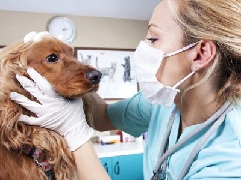 whatsapp image 2024 11 08 at 10.02.45 (1)