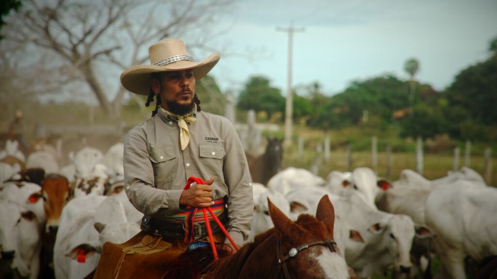 whatsapp image 2024 11 08 at 16.24.27 (3)