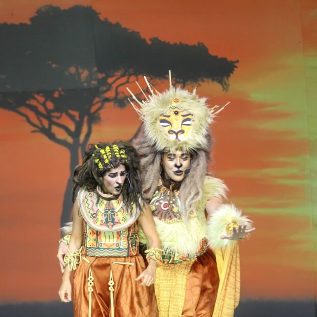 espetáculo rei leão