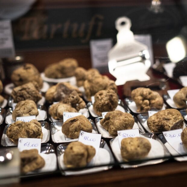 italy agriculture economy truffle fair