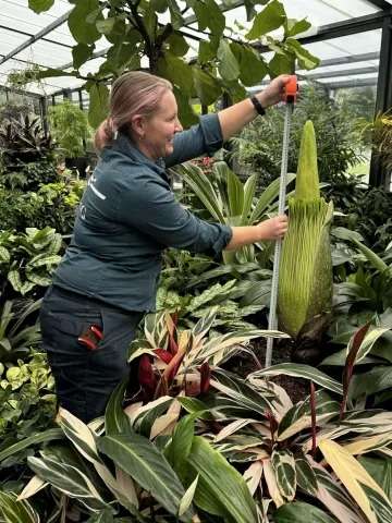 geelong botanic gardens