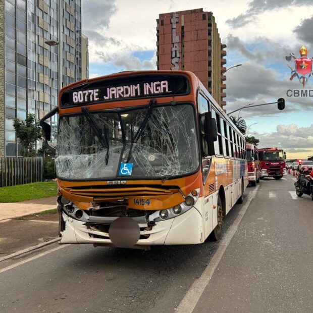 colisão onibus