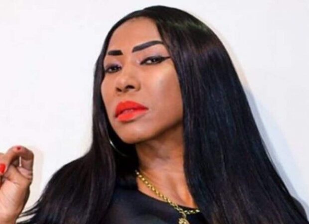 ines brasil 1 widelg