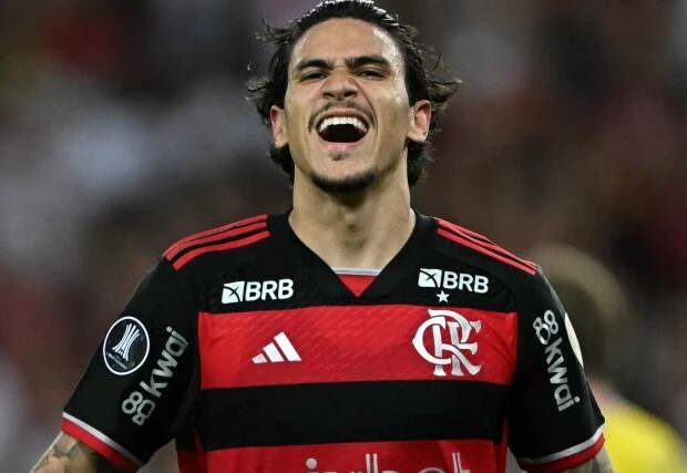 pedro flamengo