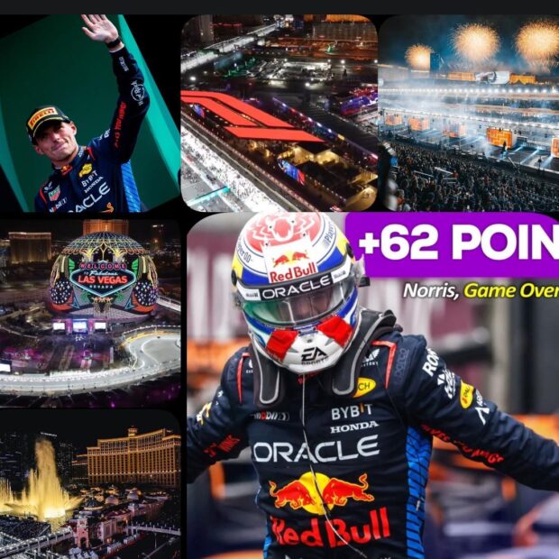 whatsapp image 2024 11 17 at 13.41.49