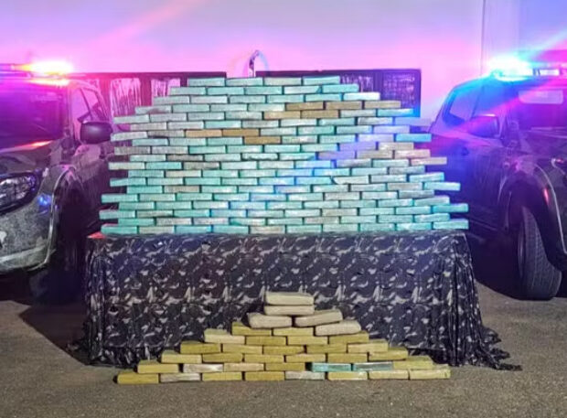 captura de tela 2024 11 18 090849