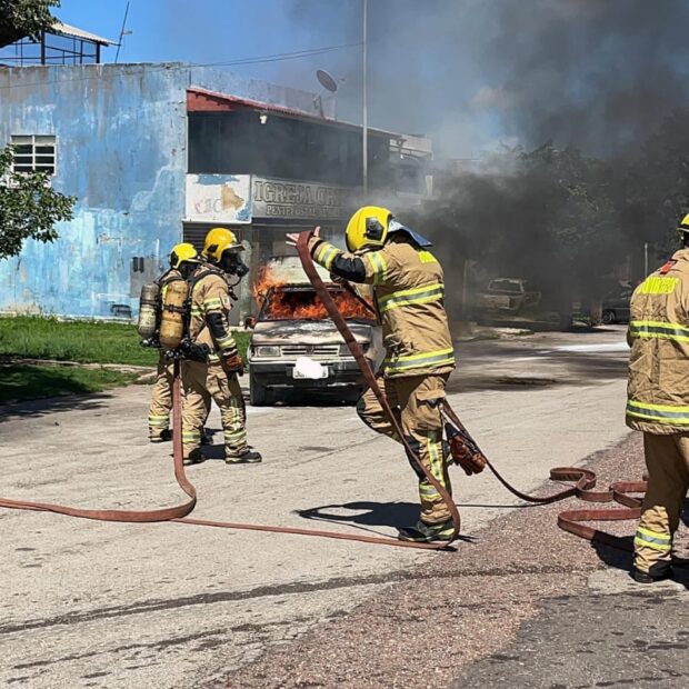 whatsapp image 2024 11 18 at 11.04.50