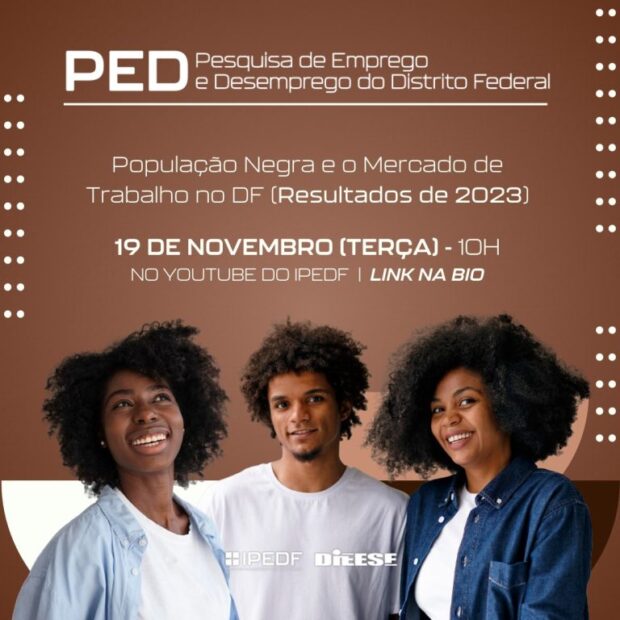 18.11. divulgacao ipedf ped raca cor 2024 768x768