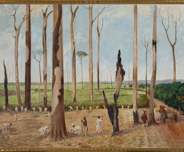 1731018630672d3f86db690 1731018630 3x2 md