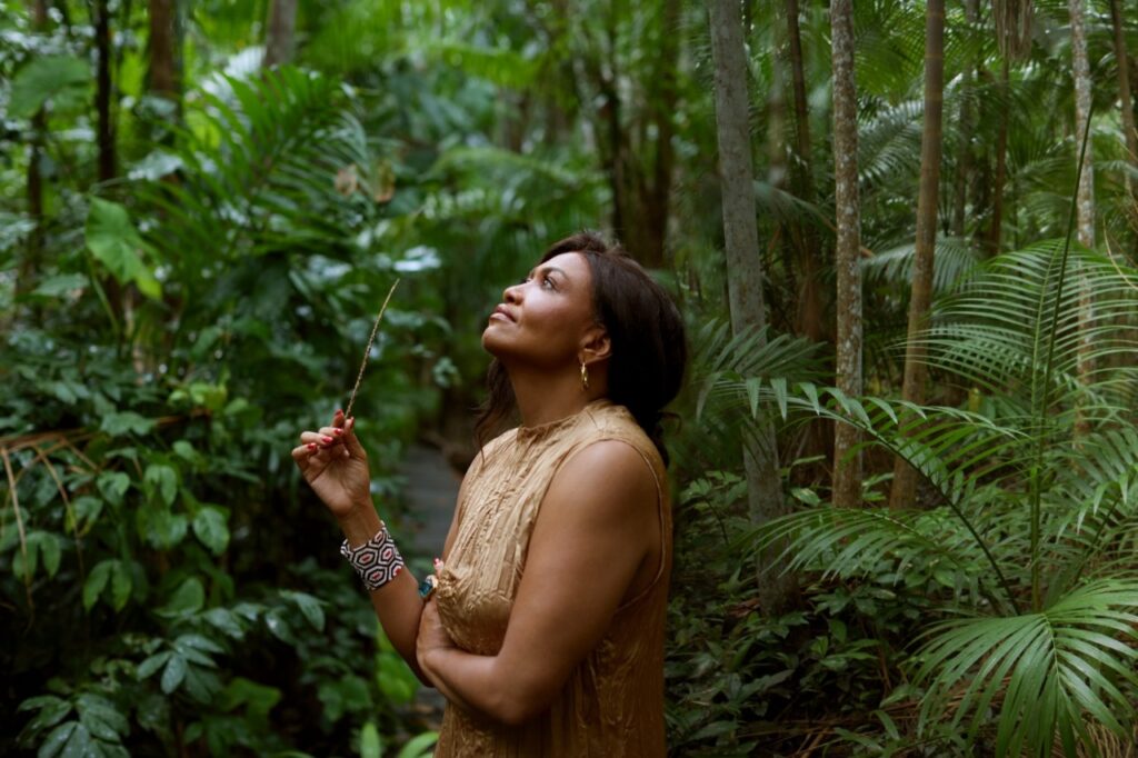 imagem do whatsapp de 2024 11 20 à(s) 08.17.58 cebf7786