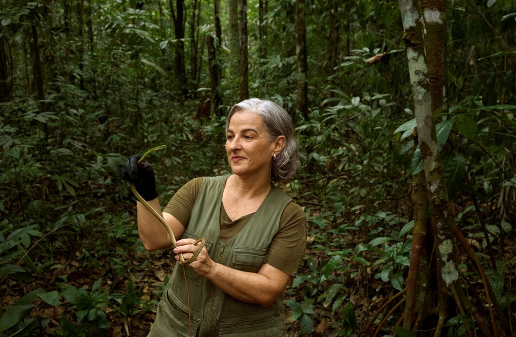 imagem do whatsapp de 2024 11 20 à(s) 08.17.58 57ae14bc