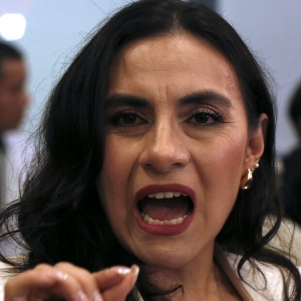 ecuador government abad suspension