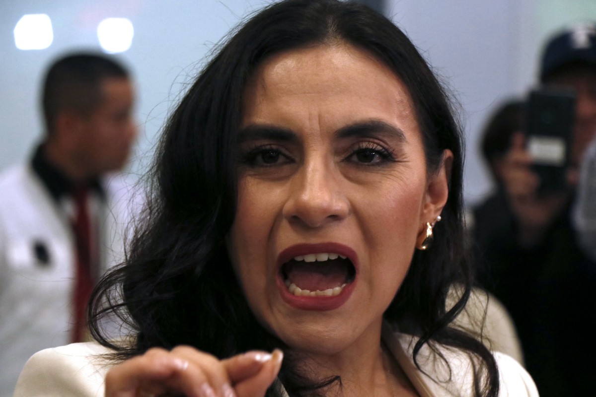 ecuador government abad suspension