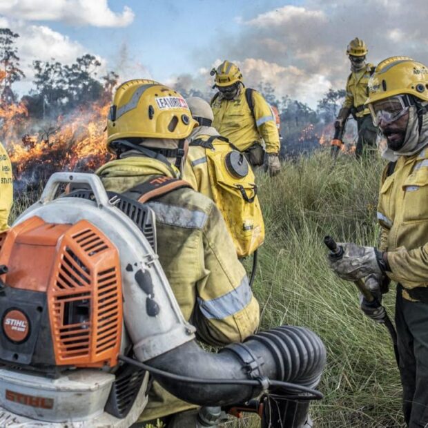 whatsapp image 2024 11 19 at 16.45.33