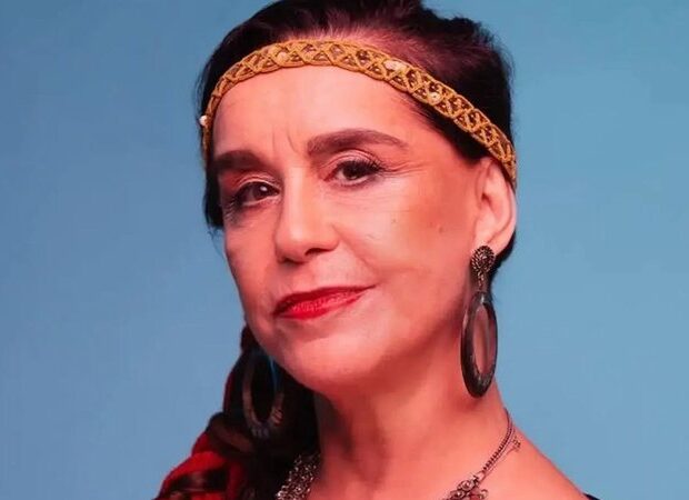 lucelia santos widelg