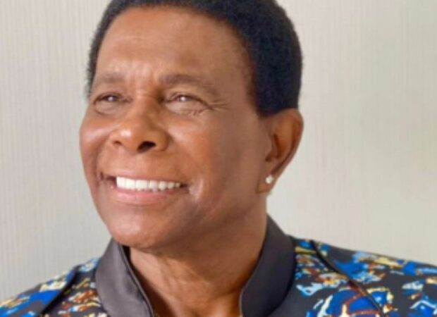 neguinho beija flor widelg