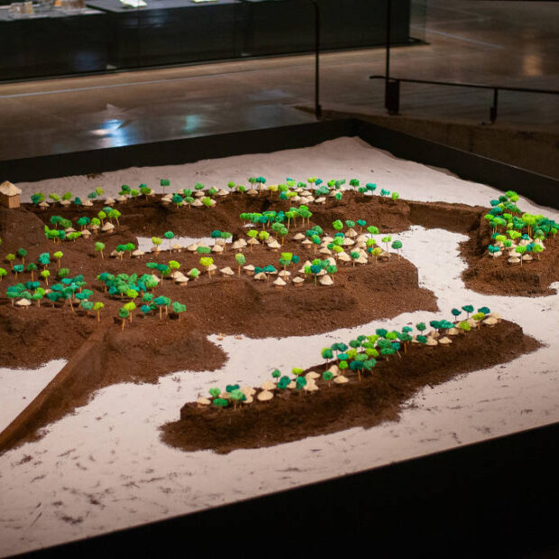 1732061594673d299ac5173 1732061594 3x2 lg