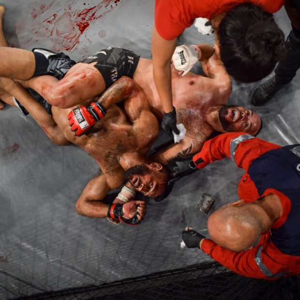 f09693ad 51f8 422e 9115 09d411770768