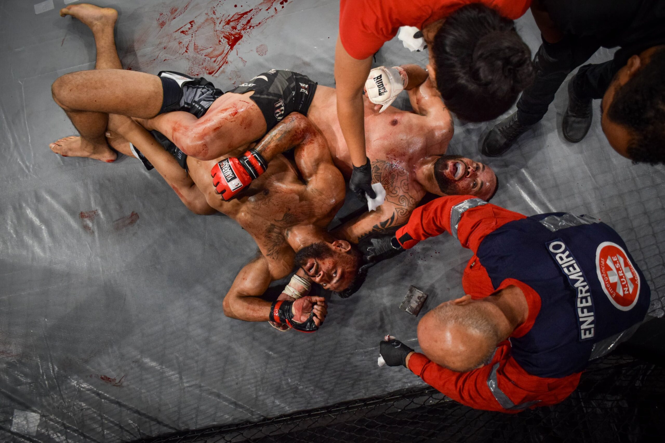 f09693ad 51f8 422e 9115 09d411770768