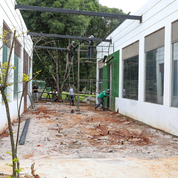 reforma do museu de ciências naturais do zoológico de brasília entra na fase final