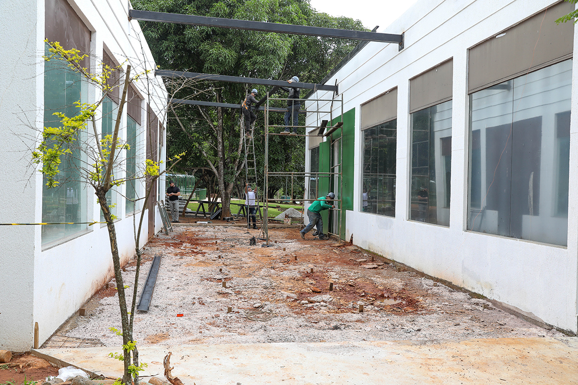 reforma do museu de ciências naturais do zoológico de brasília entra na fase final