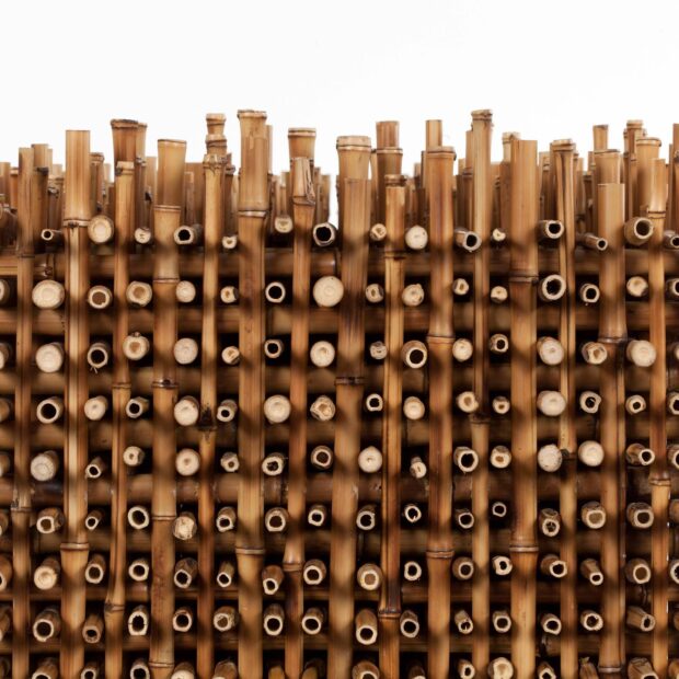 1732226850673faf2222e14 1732226850 3x2 rt