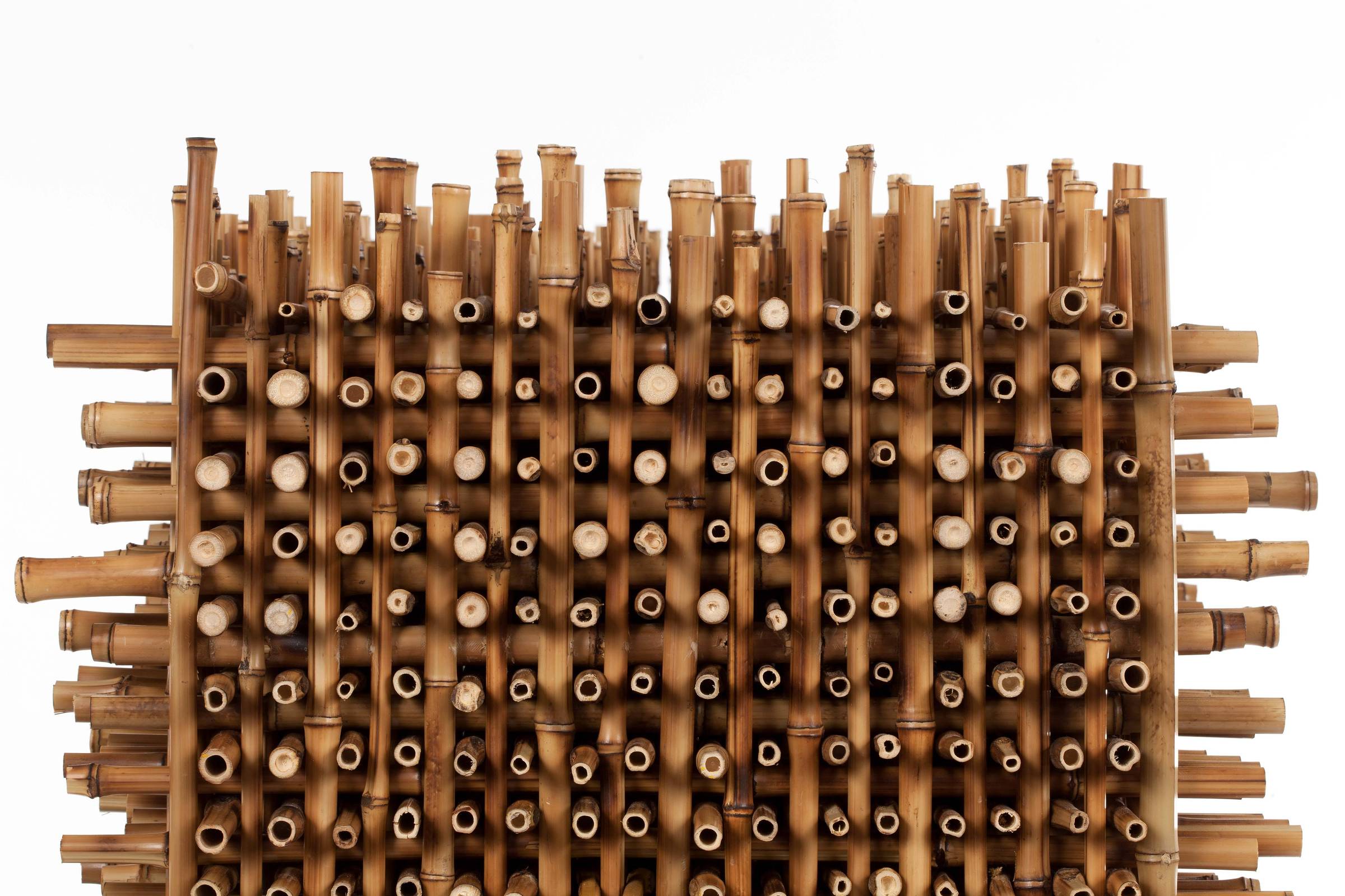 1732226850673faf2222e14 1732226850 3x2 rt