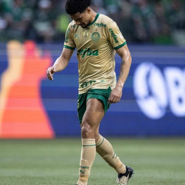 snapinsta.app 459942089 1814080155789184 3461743925574295725 n 1080 (1)