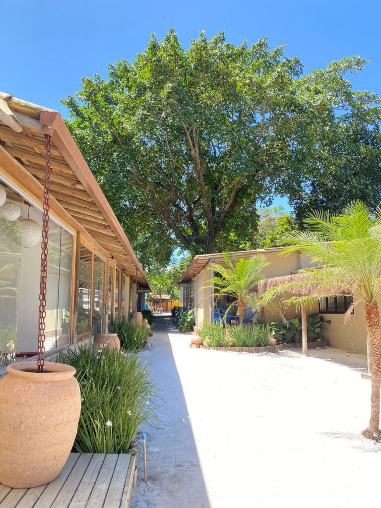 whatsapp image 2024 11 22 at 13.10.01 (1)