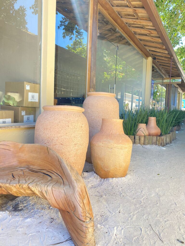 whatsapp image 2024 11 22 at 13.10.01