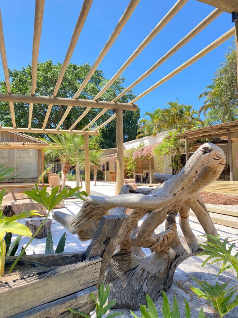 whatsapp image 2024 11 22 at 13.10.00 (3)