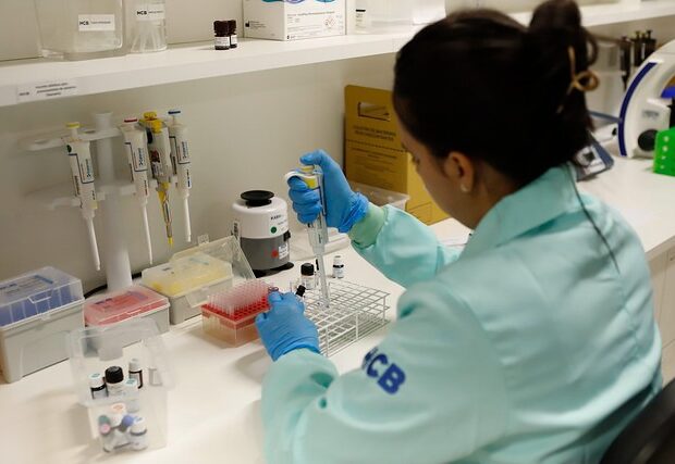 imagem do whatsapp de 2024 11 22 à(s) 18.10.56 e88032e8