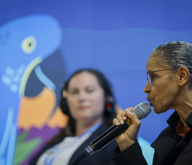 marina silva cop29