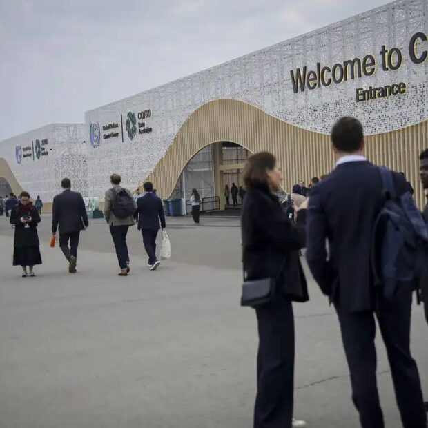 cop 29