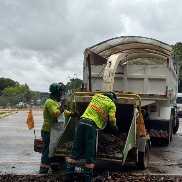 obras