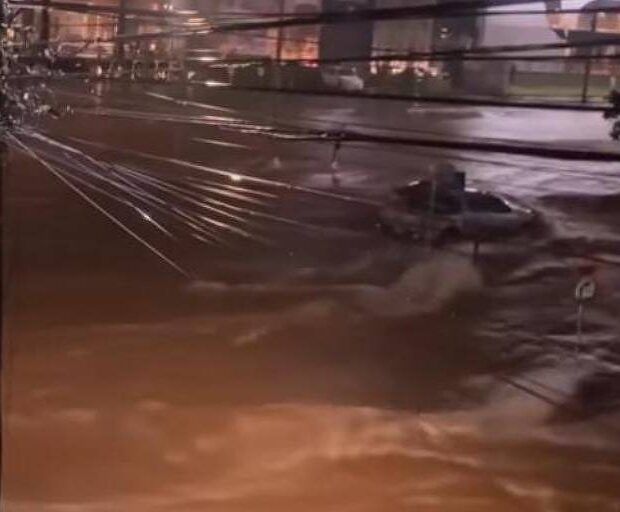 whatsapp image 2024 11 25 at 06.59.50