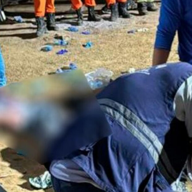 captura de tela 2024 11 25 071137