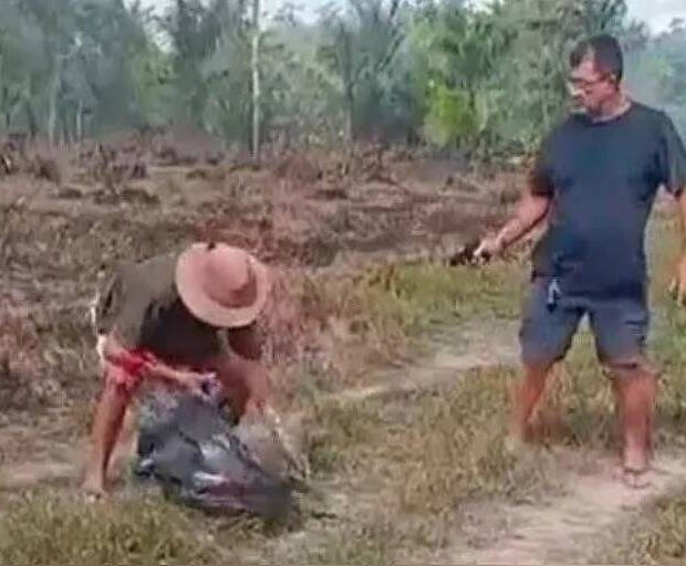 17324865906743a5be9f910 1732486590 3x2 md