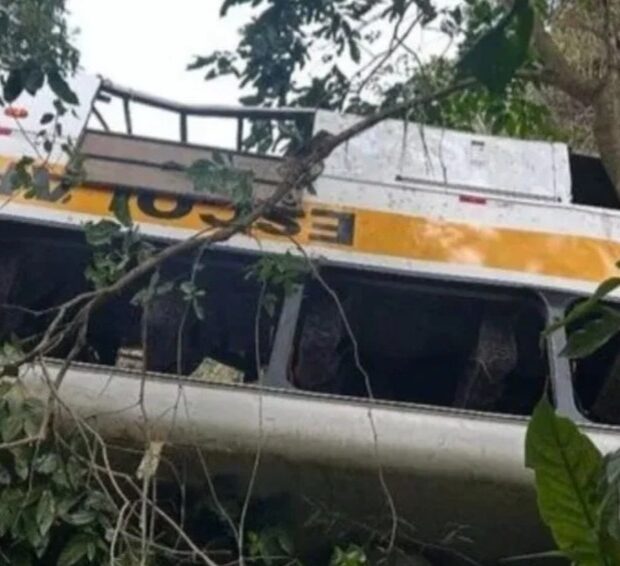 escola ônibus