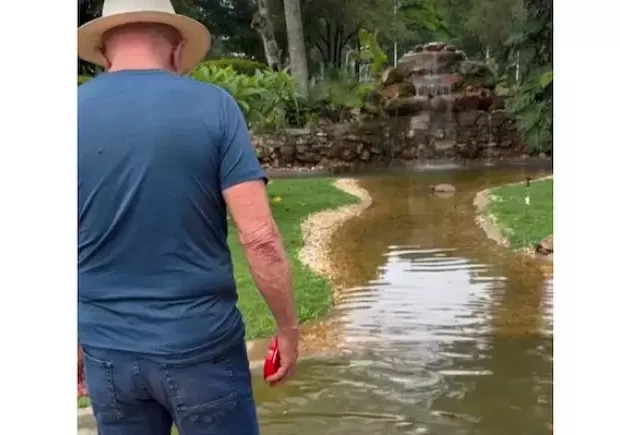 lula granja do torto