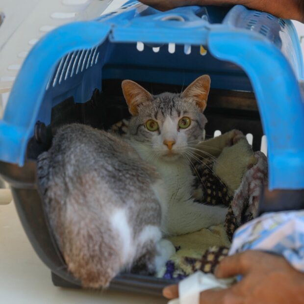 whatsapp image 2024 11 26 at 10.33.41