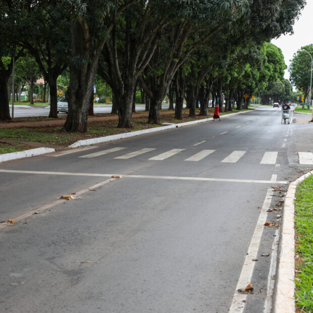 reformada, avenida das mangueiras, no cruzeiro, ganha faixas de pedestre