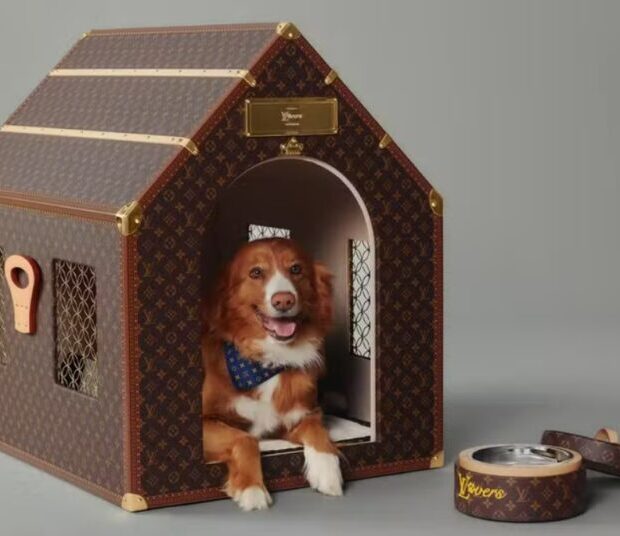 captura de tela 2024 11 12 120628 750x536