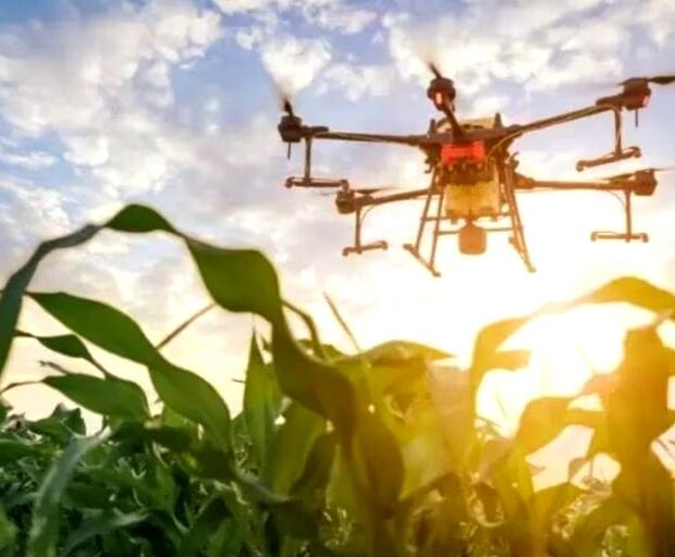 whatsapp image 2024 11 25 at 10.39.28