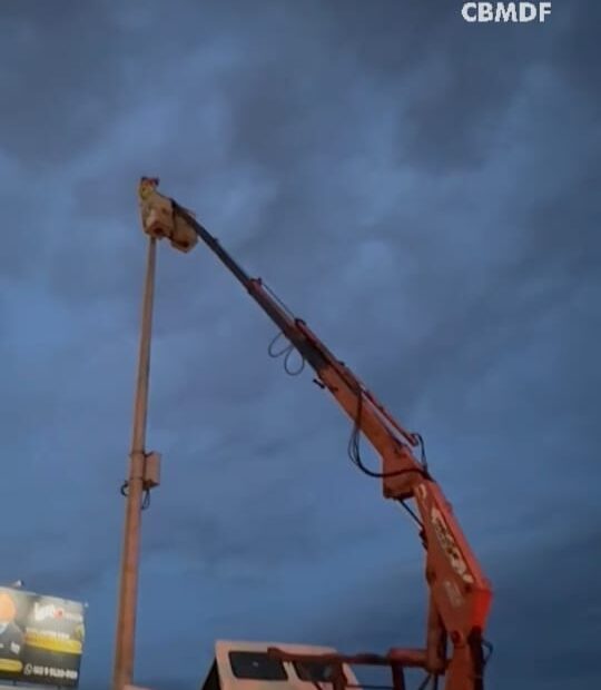 whatsapp image 2024 11 28 at 00.34.36