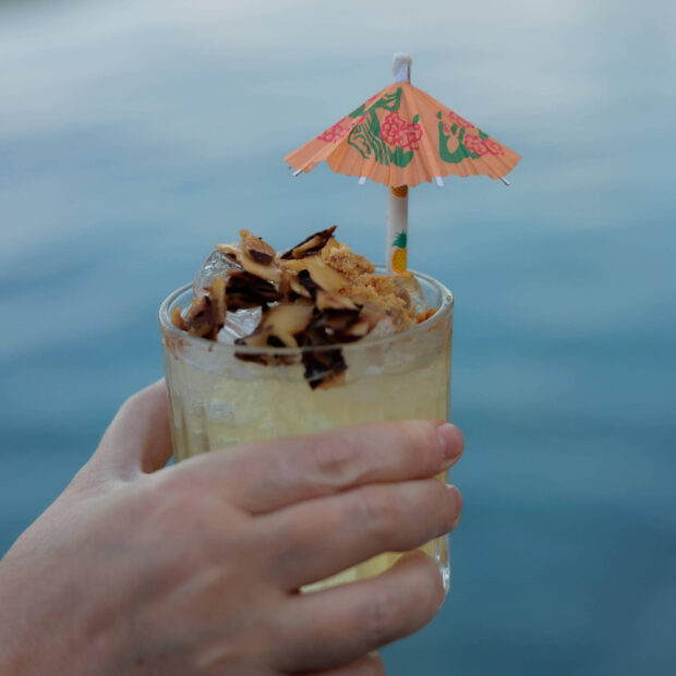 17315206246734e8703fd7c 1731520624 4x3 rt